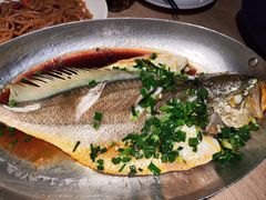 -佬肥猫(周浦万达店)