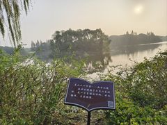 -上海市保健医疗中心