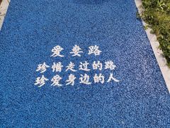 -艾溪湖湿地公园