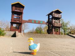 -绿堤公园