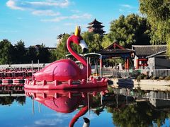 -莲花池公园
