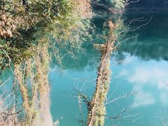 -广州市流溪河国家森林公园