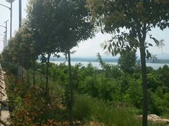 -洛阳白云山景区