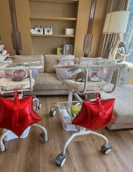 -巍阁高端月子会所