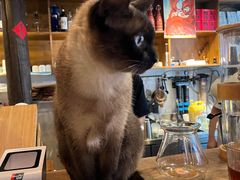 -新月集庭院咖啡馆(老邮局店)