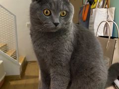 -敏华冰厅(平安金融中心店)