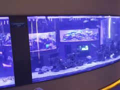 -上和臻品中国菜(花园街店)