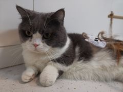 -1013 PET SHOP 宠物商店(近铁城市广场店)