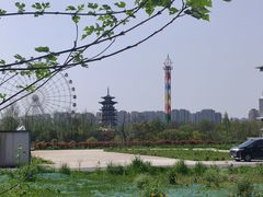 -洋湖国家湿地公园