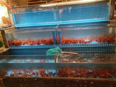 -麻辣总动员·川派海鲜·现炒浇头面·自贡菜(五彩城店)