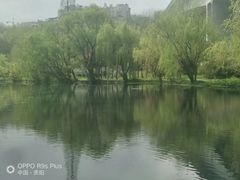 -贵阳市花溪国家城市湿地公园