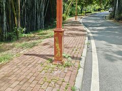 -南宁良凤江国家森林公园