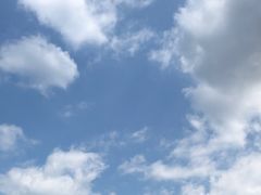 -富力希尔顿酒店·源氏日餐厅