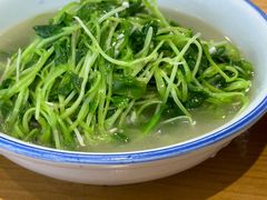 萝卜菜苗-谭家菜(童宾路店)