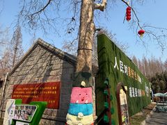 -日照海滨国家森林公园