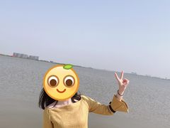 -瑶湖郊野森林公园