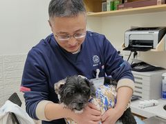 -美联众合动物医院·24h京西诊疗中心