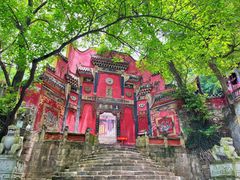 -南山植物园
