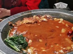 -北平盛世·新京菜·北京烤鸭(劲松·双井店)