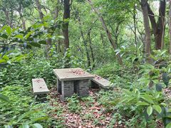 -上海佘山国家森林公园天马山园