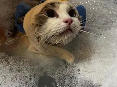 -听TA说宠咖·宠物生活馆(天韵水岸店)