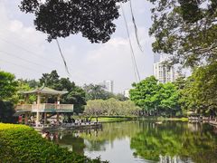 -晓港公园