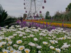 -安仁古镇