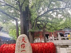 -红螺寺