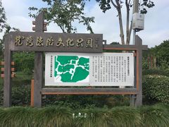 -河泥荡文化公园