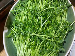 活体豆苗-如一鸡鲍鱼·粤式煲汤(长泰广场店)