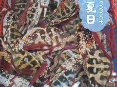 -板桥海鲜广场(文明东店)