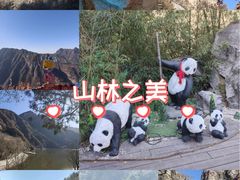 -秦岭终南山世界地质公园翠华山景区