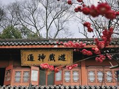-灵隐飞来峰景区
