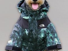 -THE NORTH FACE(三里屯ONEBOX店)