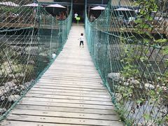 -宁波余姚老柿林山居度假村