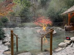 -宁海安岚·南溪阁全日餐厅