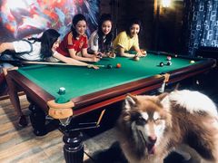 -玩坞轰趴馆·户外团建聚会主题生日派对馆(世豪广场店)