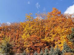 -六鼎山文化旅游区