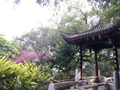 -乌山风景区