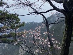 -庐山风景区花径公园