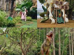 -佛冈森波拉度假区