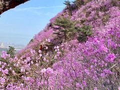 -青岛大珠山景区