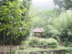 -黄公望隐居地