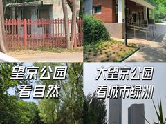 -大望京公园