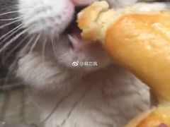 -一大糕点(纬六路店)