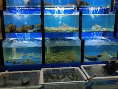 水产区-老东镇啤酒屋海鲜加工·蒸汽海鲜·海鲜烧烤(台东店)