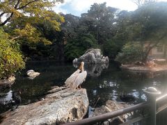 -昆明动物园