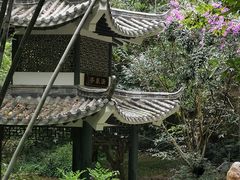 -广州市白云山风景名胜区