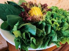 -景明轩•养生酸汤鱼火锅 云贵鲜菌 现舂野果酸汤(王寨小区店)