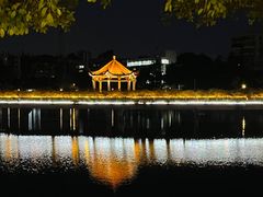 -OLD TREE老树咖啡·西餐厅(台山人工湖店)
